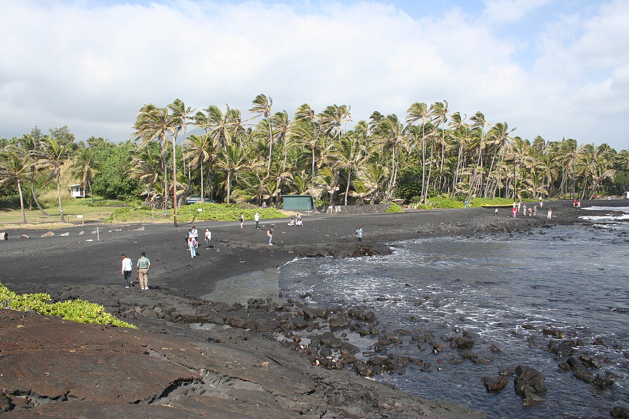 Black sand and coconut palms at Punaluu Beach