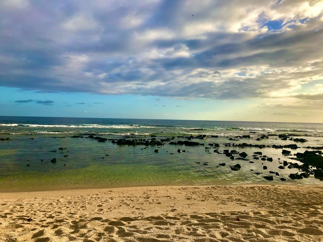Rocky shoreline and clear coastal water