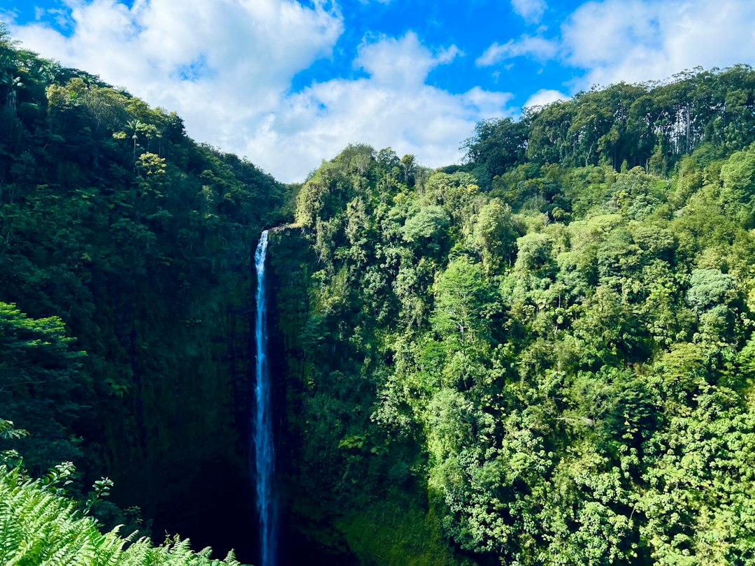 Waterfall surrounded by lush forest near Hilo on Hawaii Island